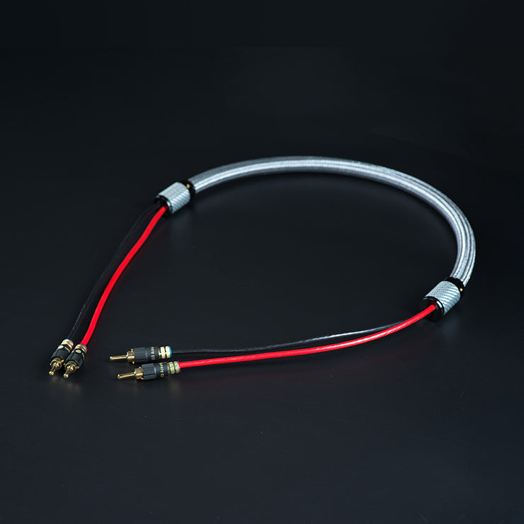 Lion Speaker Cable